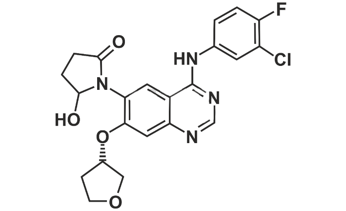 Afatinib Impurity 23
