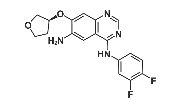 Afatinib Impurity 21