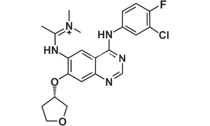 Afatinib Impurity 17