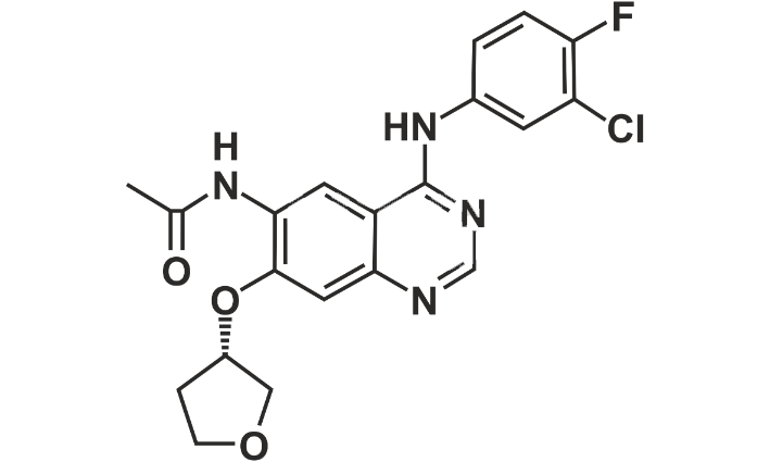 Afatinib Impurity 16