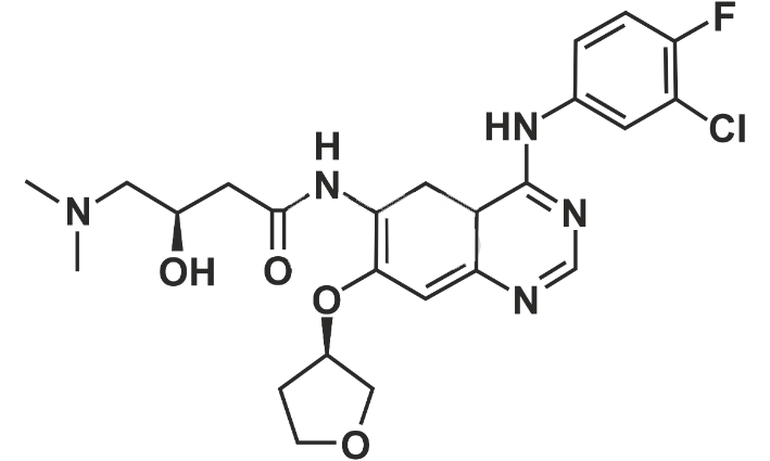 Afatinib Impurity 15