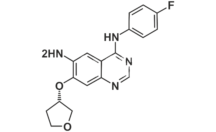 Afatinib Impurity 6