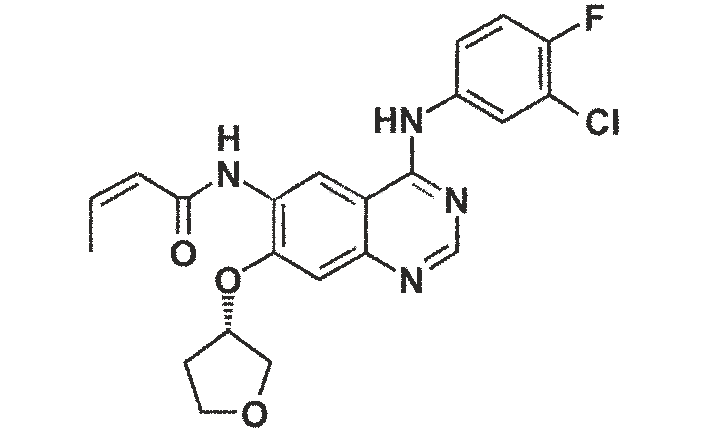 Afatinib Impurity H