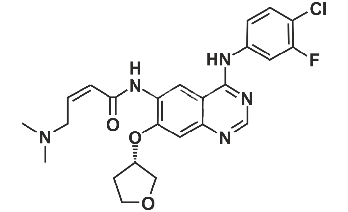 Afatinib Impurity G