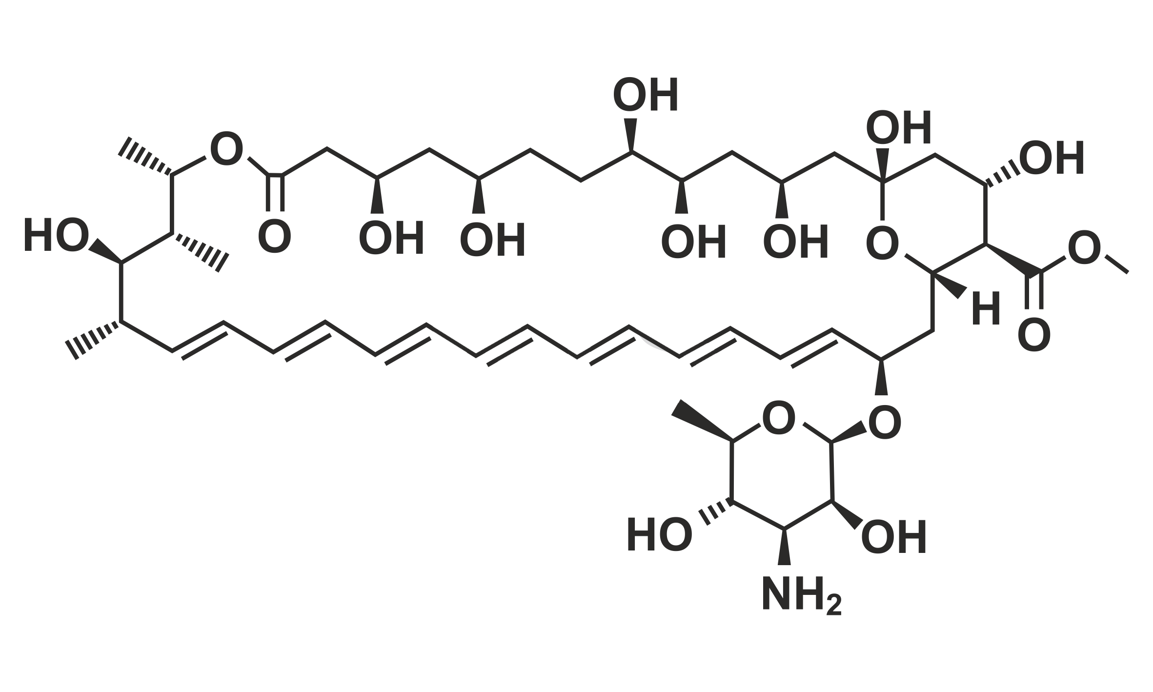 Amphotericin B Methyl Ester
