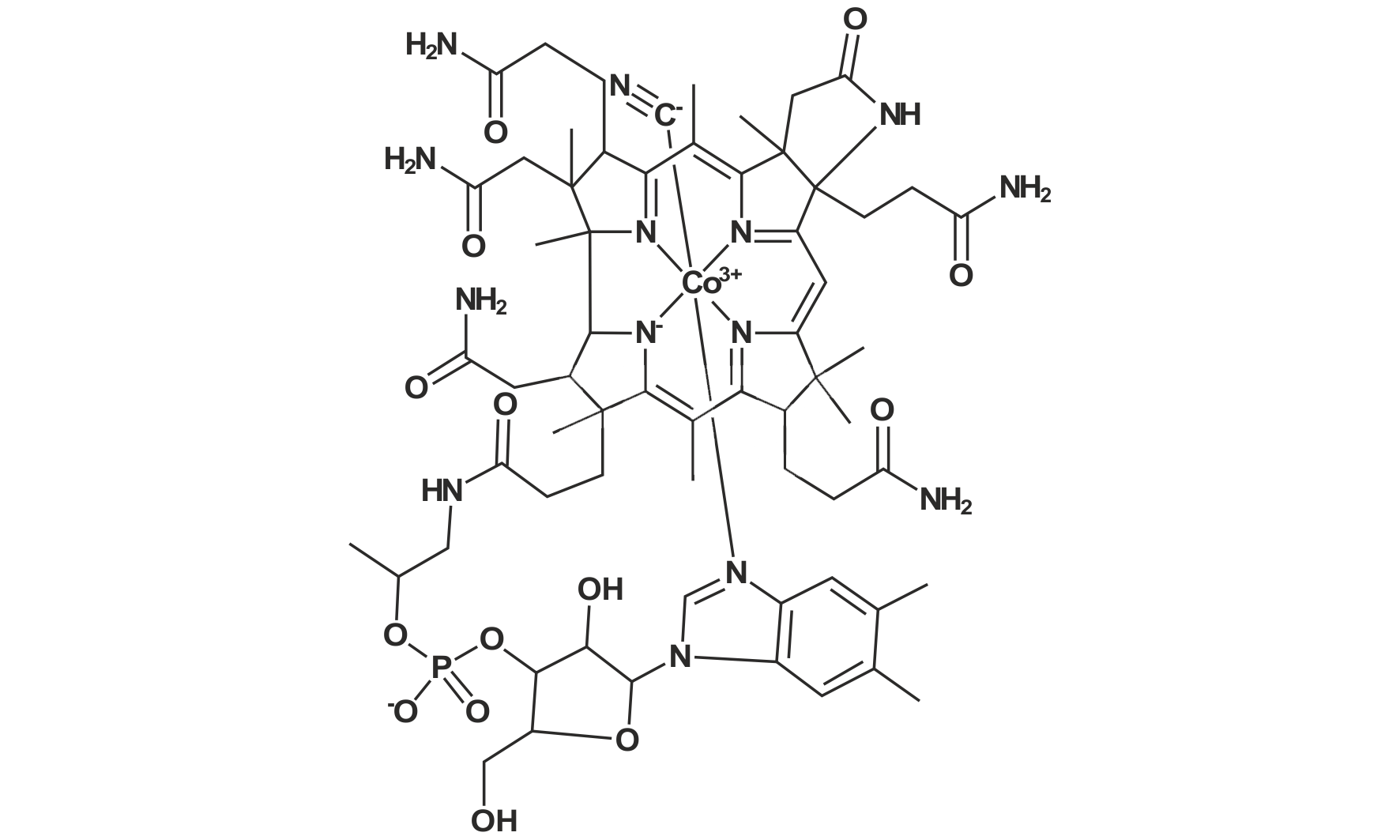 Lactam-cobalamin